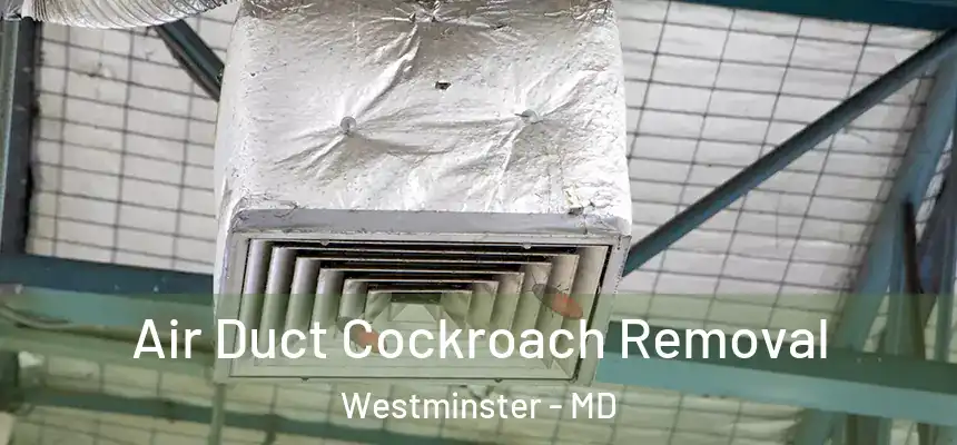  Air Duct Cockroach Removal Westminster - MD
