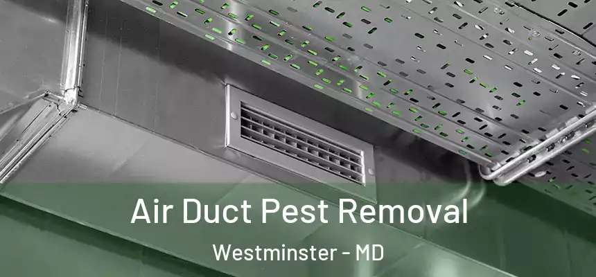  Air Duct Pest Removal Westminster - MD