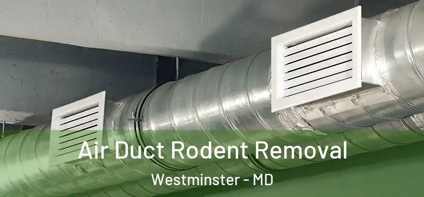  Air Duct Rodent Removal Westminster - MD