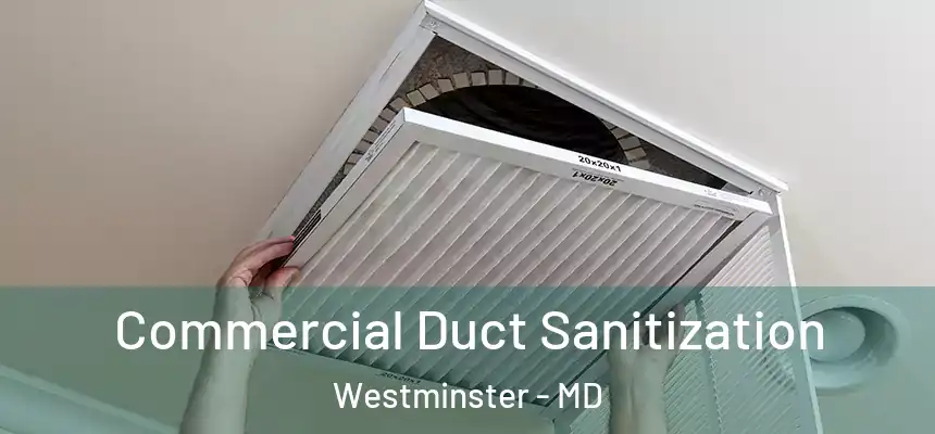  Commercial Duct Sanitization Westminster - MD