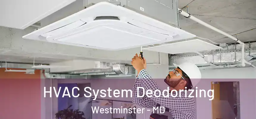HVAC System Deodorizing Westminster - MD