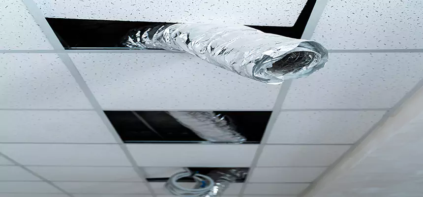 Our Air Duct Pet Hair Removal Services in Westminster, MD