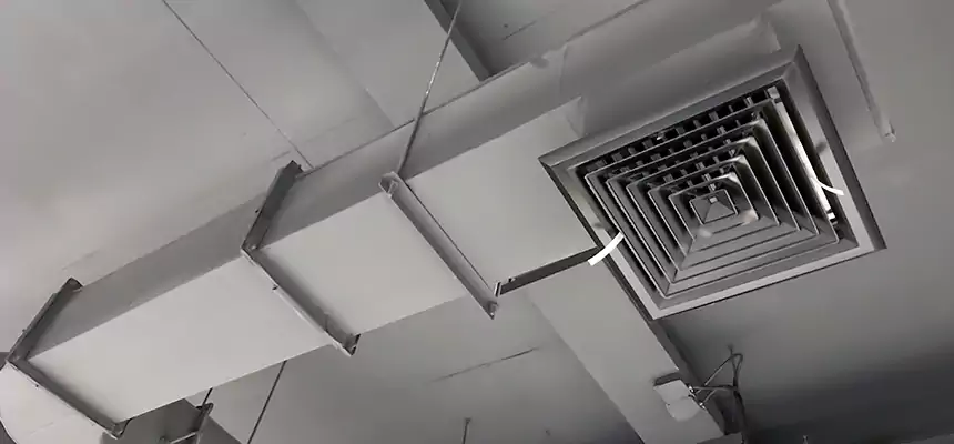 Our Pest Removal From Ducts Services in Westminster, MD