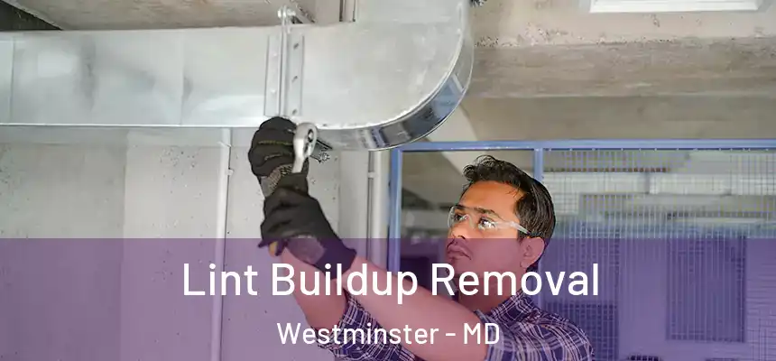  Lint Buildup Removal Westminster - MD