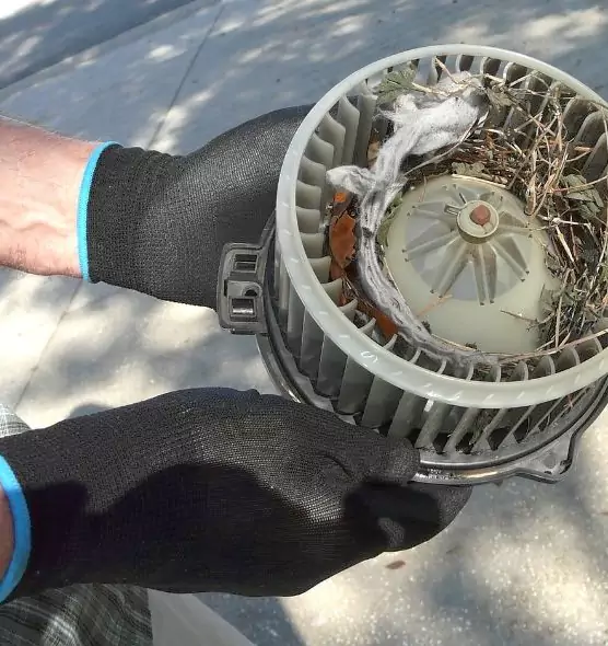 About Air Duct Rat Removal in Westminster, MD