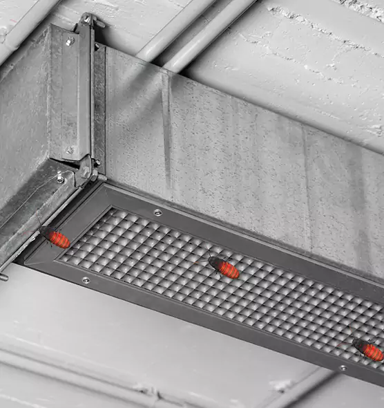 Affordable Insect Removal from Air Ducts in Westminster, MD