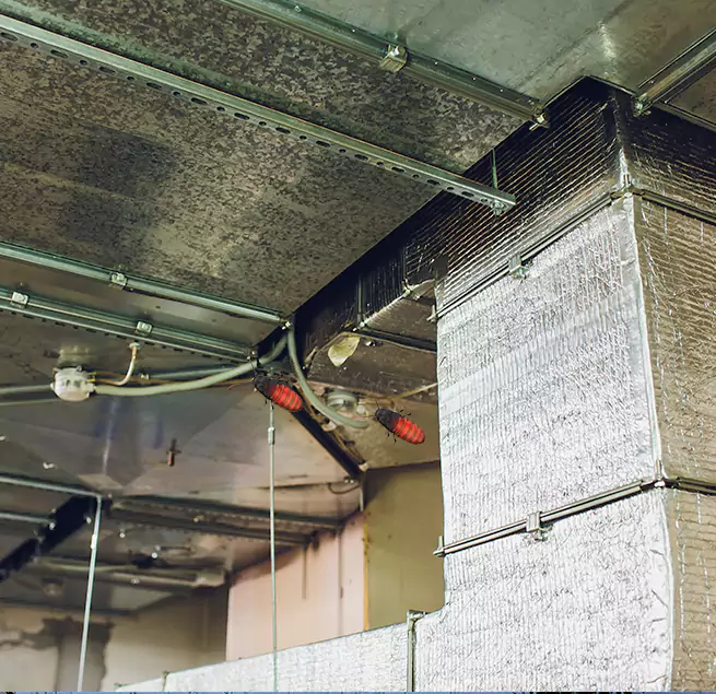 Why Homeowners & Businesses Trust Us in Westminster, MD?