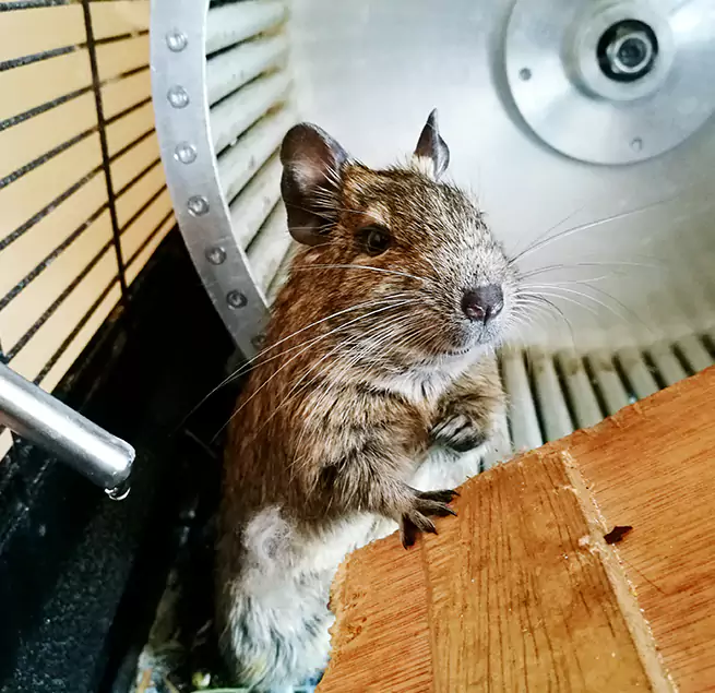 Why Homeowners & Businesses Trust Us Westminster, MD