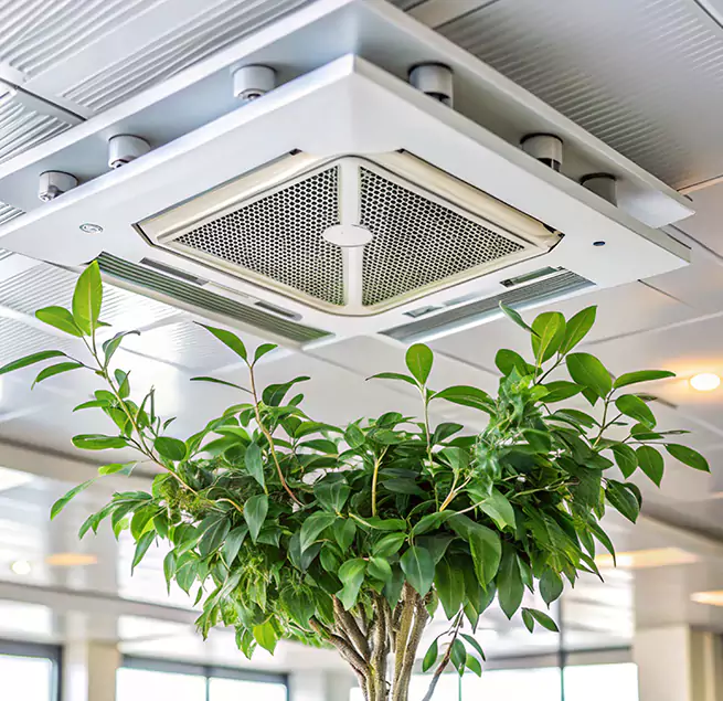 Why Homeowners & Businesses Trust Us in Westminster, MD?