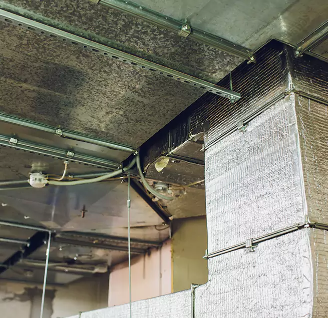 Why Homeowners & Businesses Trust Us in Westminster, MD?