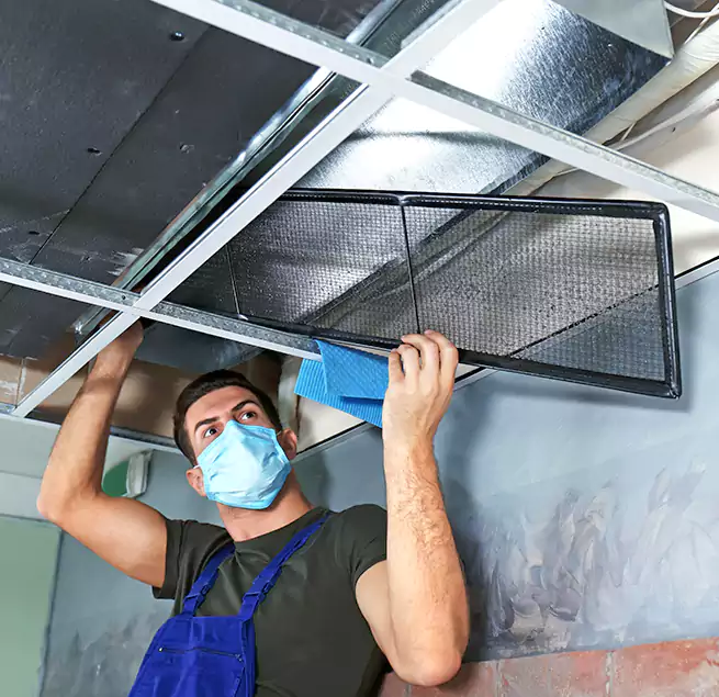 Why Homeowners Businesses Trust Us in Westminster, MD