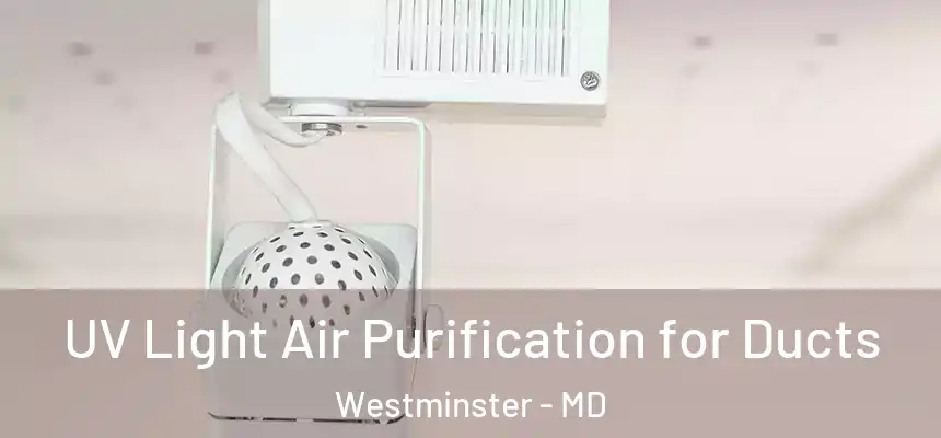  UV Light Air Purification for Ducts Westminster - MD